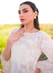 The Nargis Set