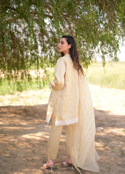 The Kavya set
