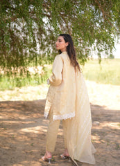 The Kavya set