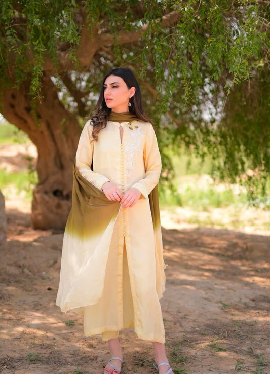 The Zaitoon Set