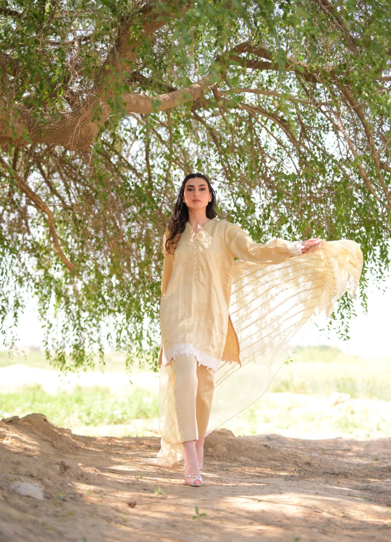 The Kavya set
