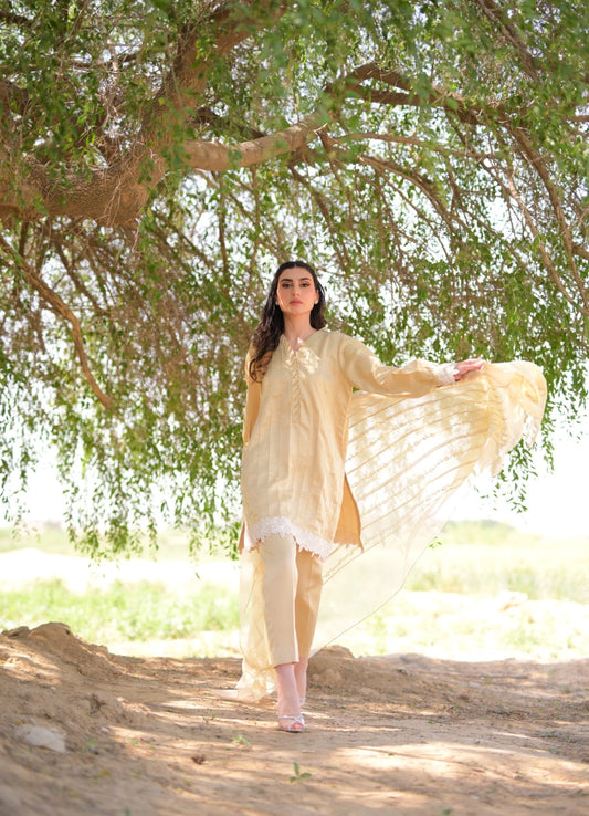 The Kavya set