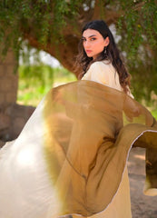 The Zaitoon Set
